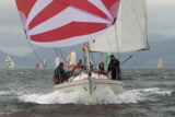 pandanova k1092t whw12 wed gjmc 2531